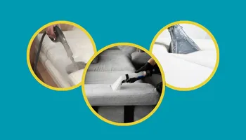 Carpet Stain Removal Guide